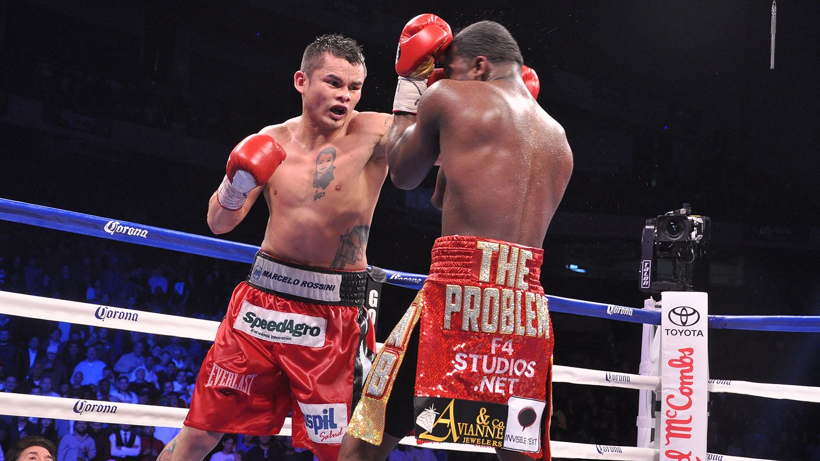 Boxeo