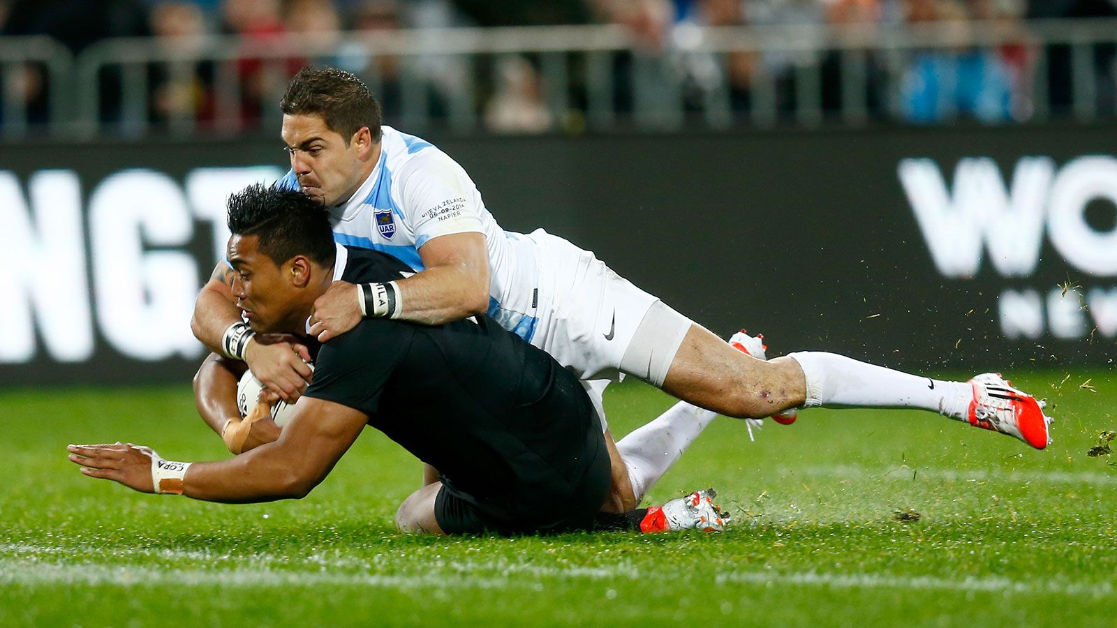 SIGAMOS REMONTANDO VUELO...