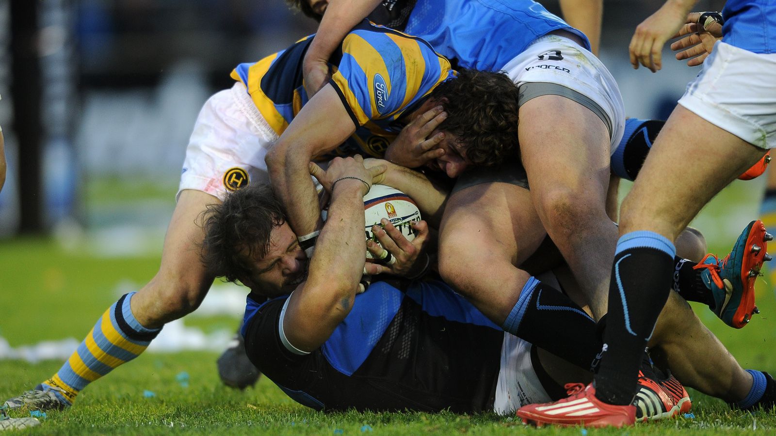 EL GRAN (BI)CAMPE�N