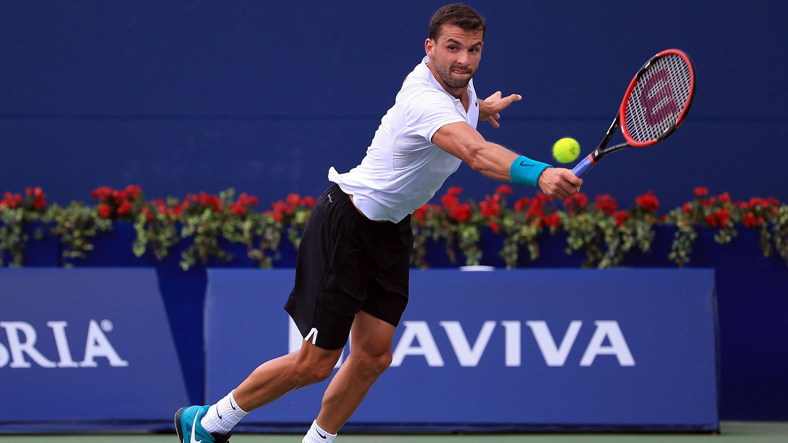 El color de la semana