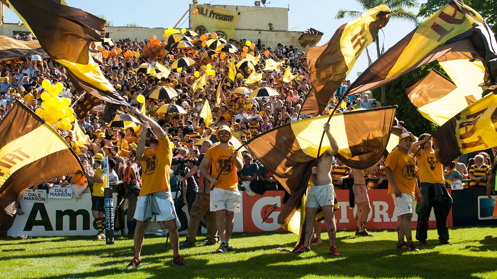 Y LA CATEDRAL FUE MARRN