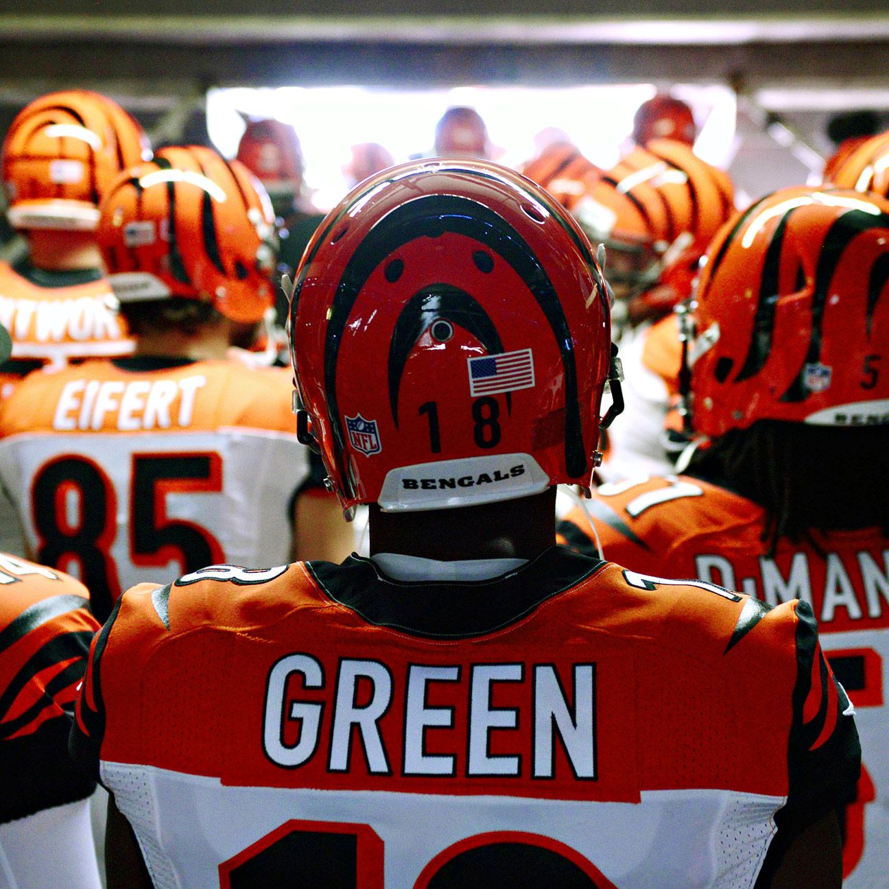 NFL Cincinnati Bengals have strong Super Bowl shot