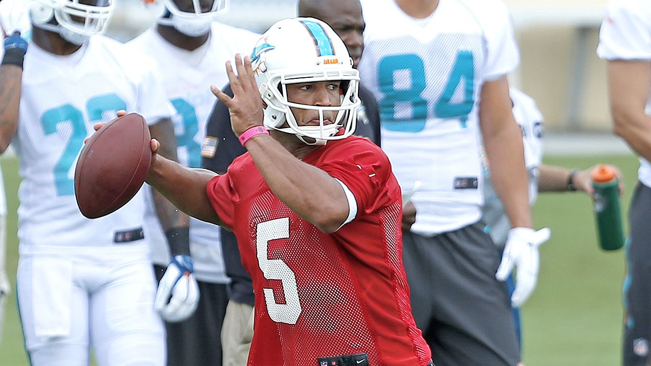 Miami Dolphins resign backup quarterback Josh Freeman