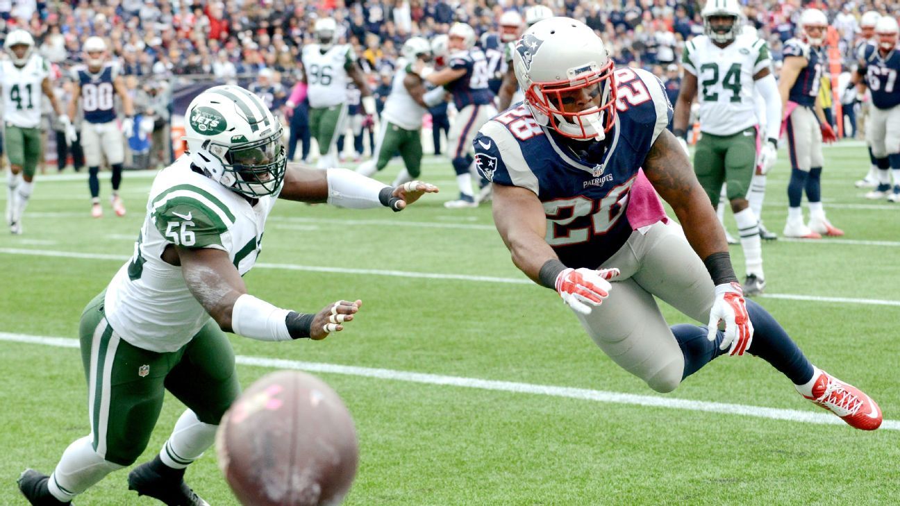 A bug's life: NFL says Jets didn't request locker-room sweep in New England