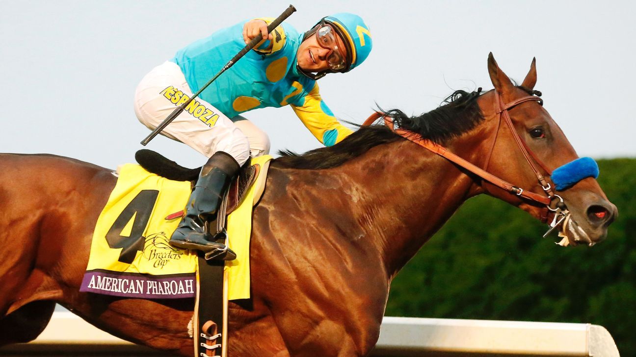 american pharaoh races