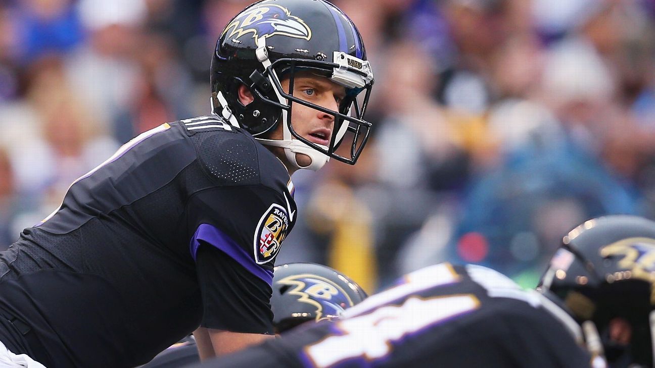Ryan Mallett makes memorable Ravens debut in upset of Steelers