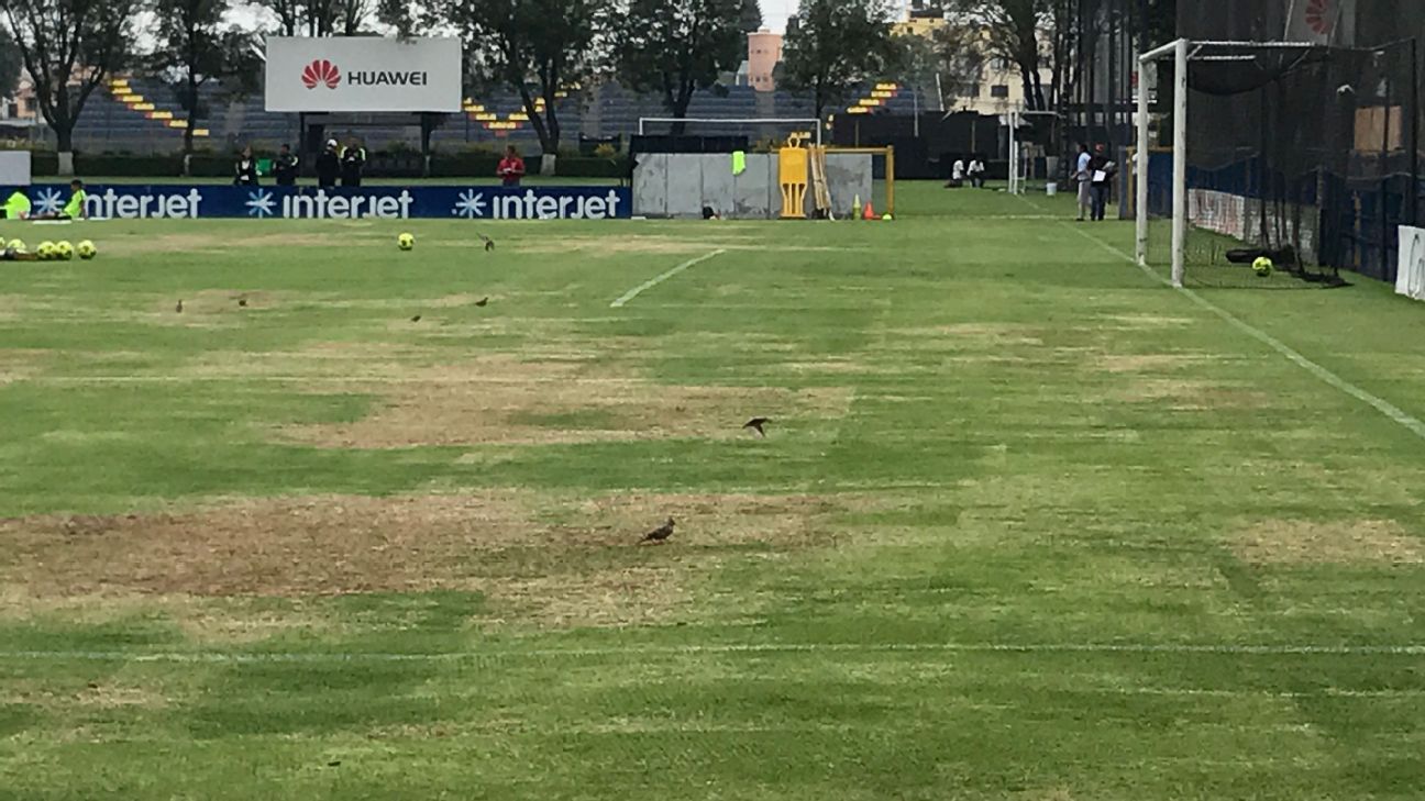 Campos de entrenamiento del América, afectados por lluvias