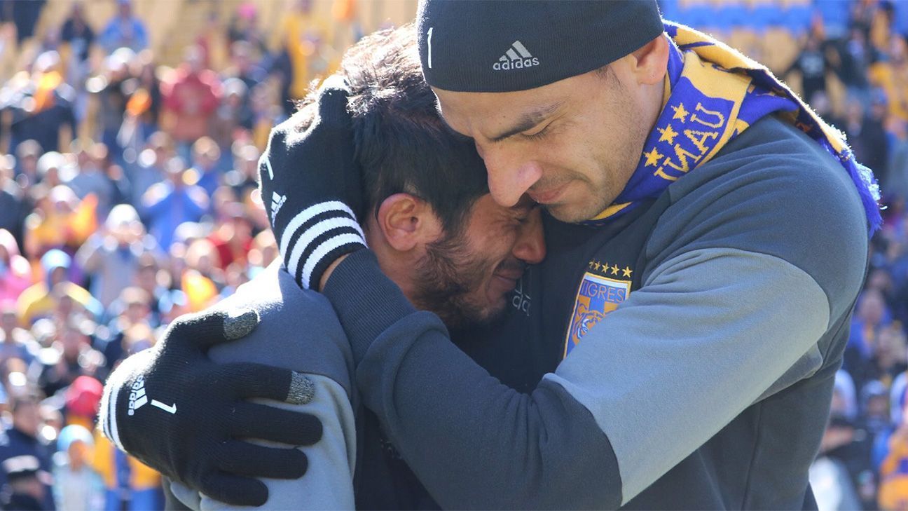 Damián Álvarez a la afición felina: 