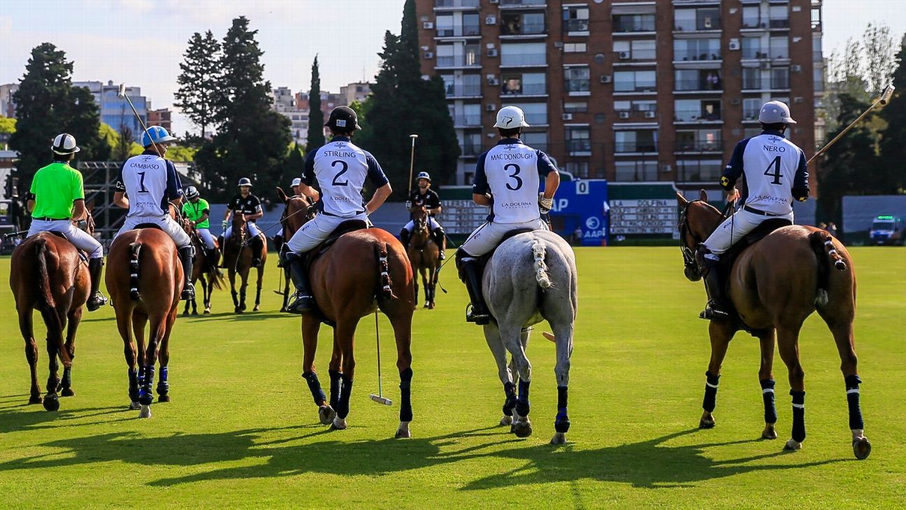 LA DOLFINA 16 - 13 ELLERSTINA
