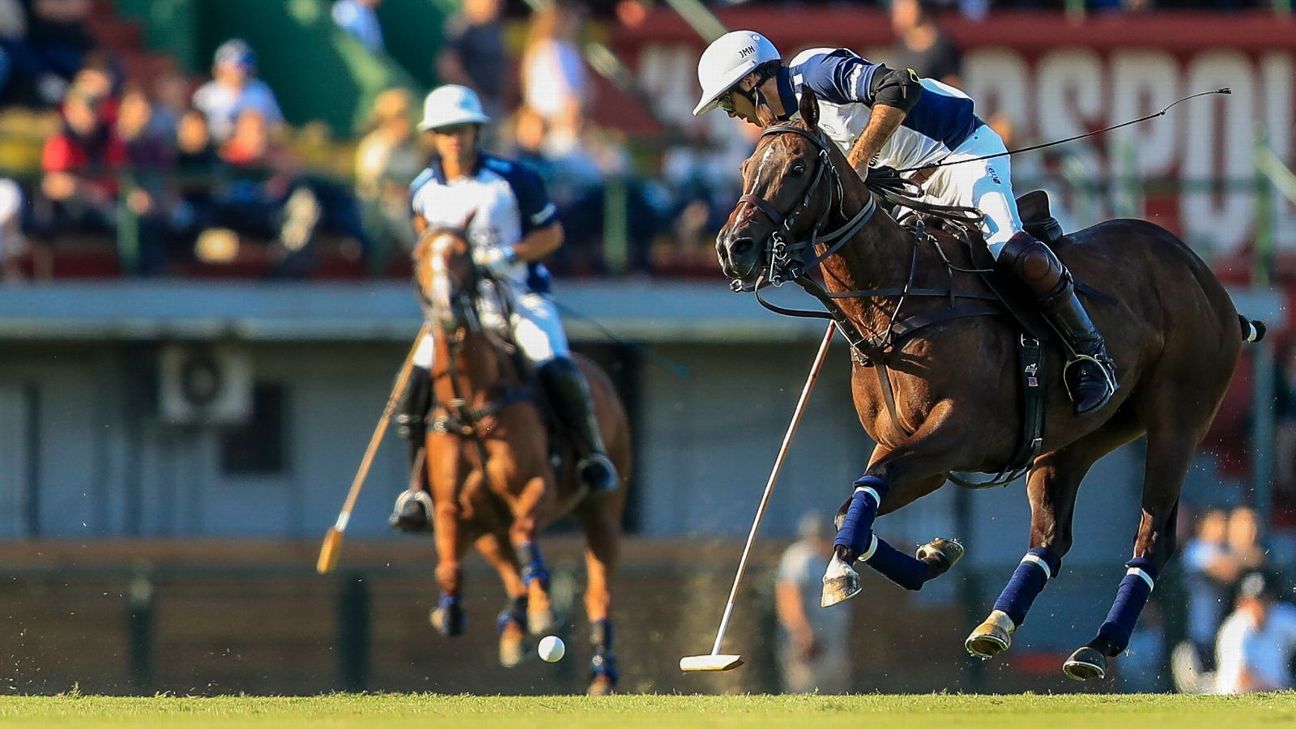 LA DOLFINA 16 - 13 ELLERSTINA