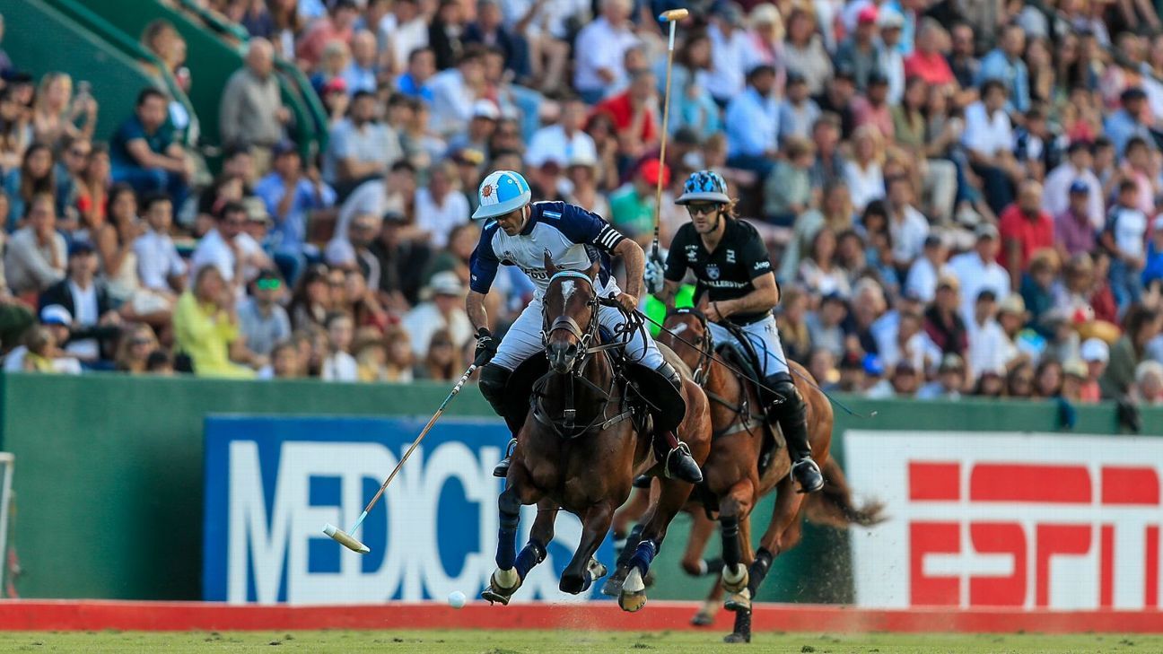 LA DOLFINA 16 - 13 ELLERSTINA