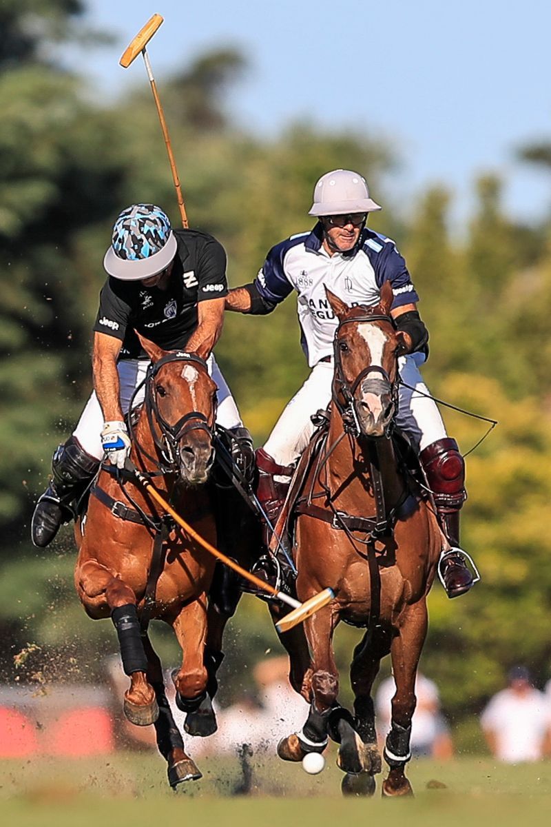 ELLERSTINA 12  11 LA DOLFINA
