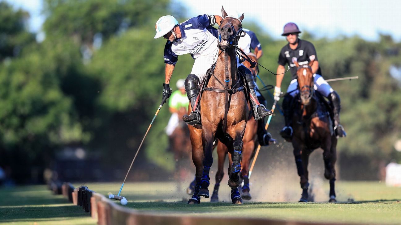 ELLERSTINA 12  11 LA DOLFINA