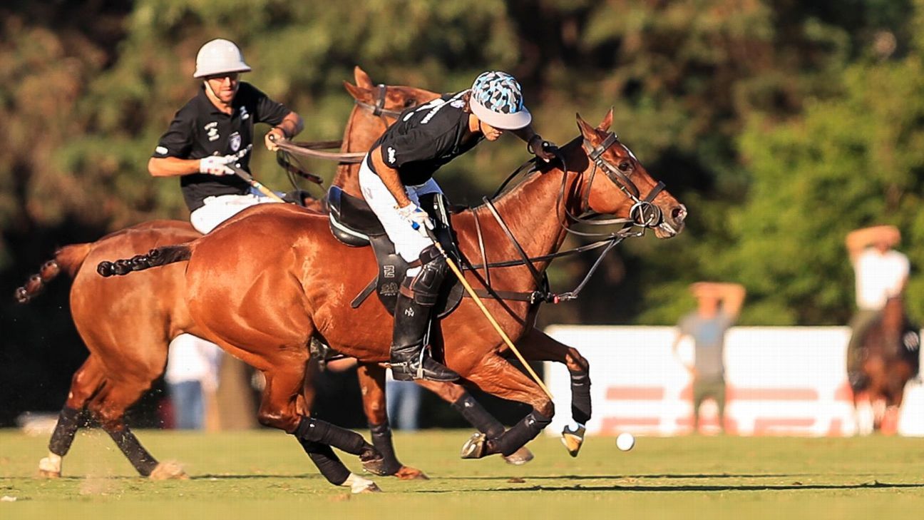 ELLERSTINA 12  11 LA DOLFINA