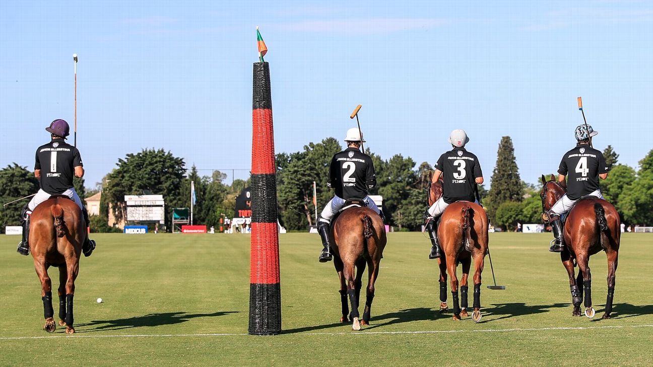ELLERSTINA 12  11 LA DOLFINA