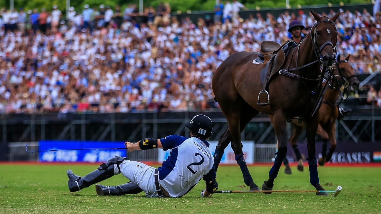 LA DOLFINA 16 - 12 ELLERSTINA