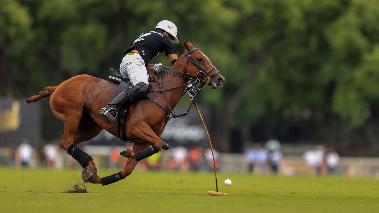 LA DOLFINA 16 - 12 ELLERSTINA