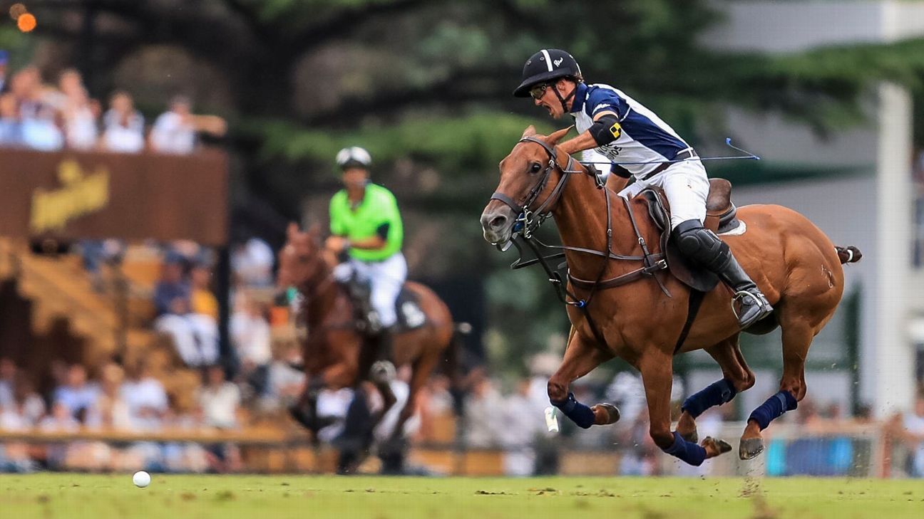 LA DOLFINA 16 - 12 ELLERSTINA