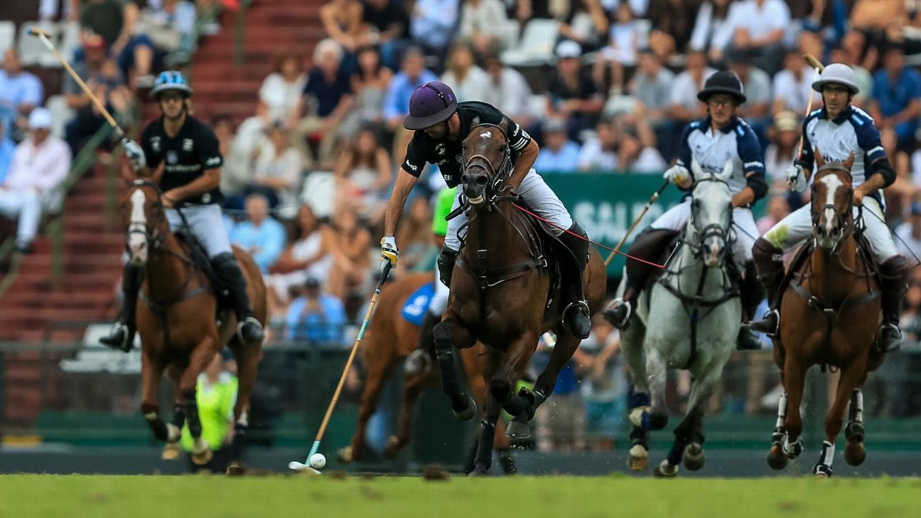 LA DOLFINA 16 - 12 ELLERSTINA