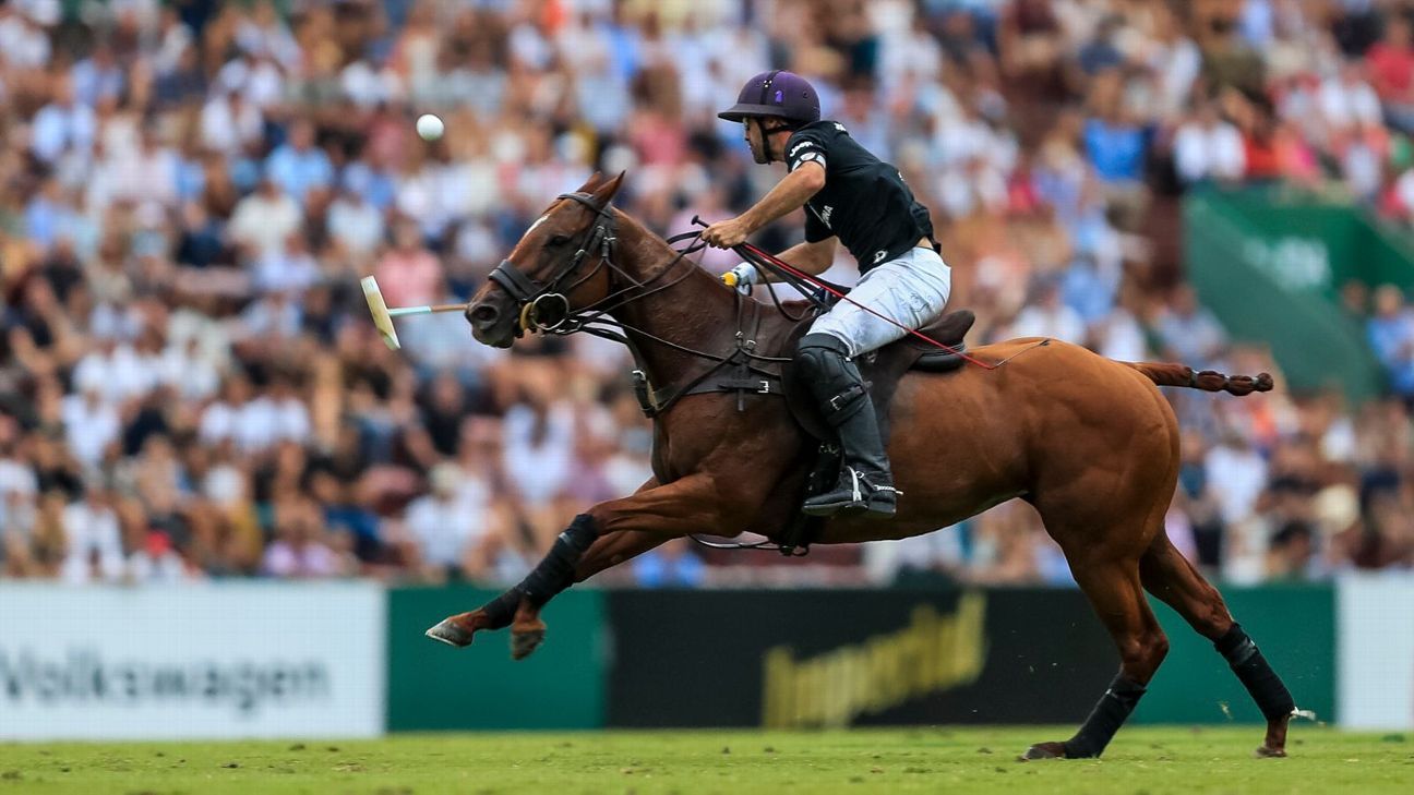 LA DOLFINA 16 - 12 ELLERSTINA
