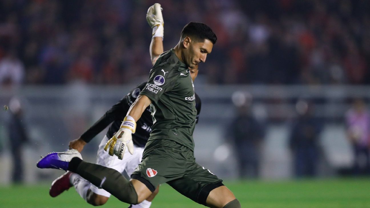 Representante de Campaña: 