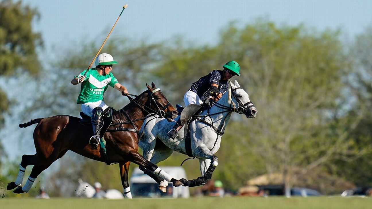 LA ENSENADA 12 - 10 LA NATIVIDAD
