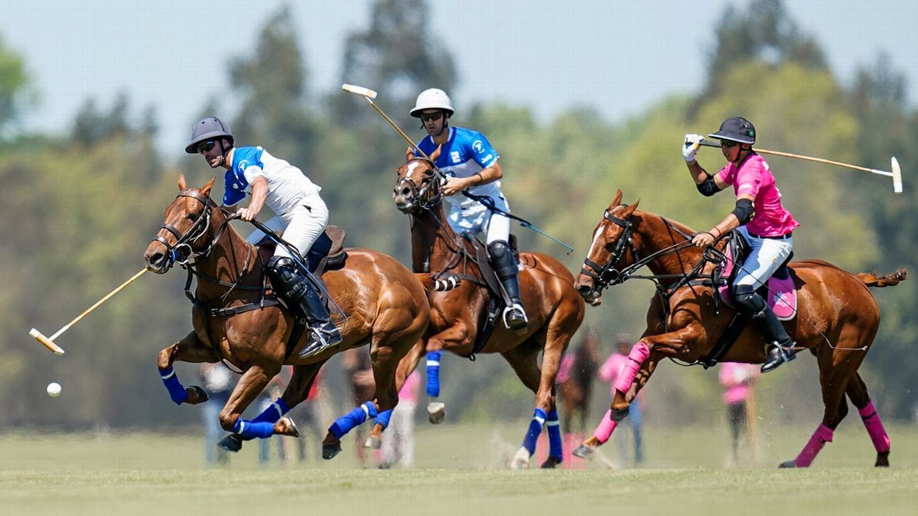 Ellerstina 23 - 7 Alegr�a