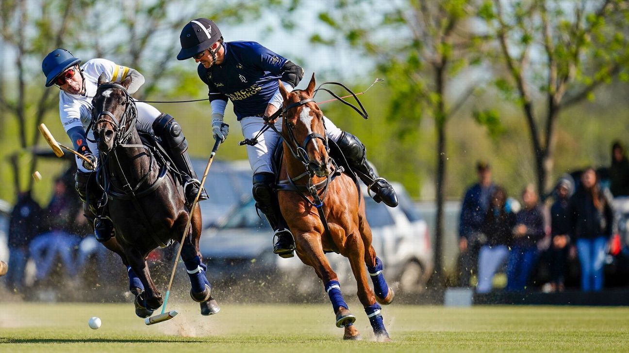 LA DOLFINA 15 - 8 LA DOLFINA BRAVA
