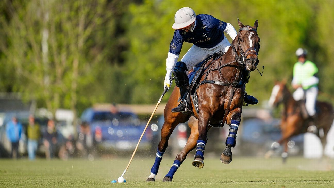 LA DOLFINA 15 - 8 LA DOLFINA BRAVA