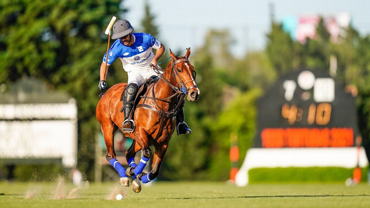 ProFocus/Fernando S�nchez Checa