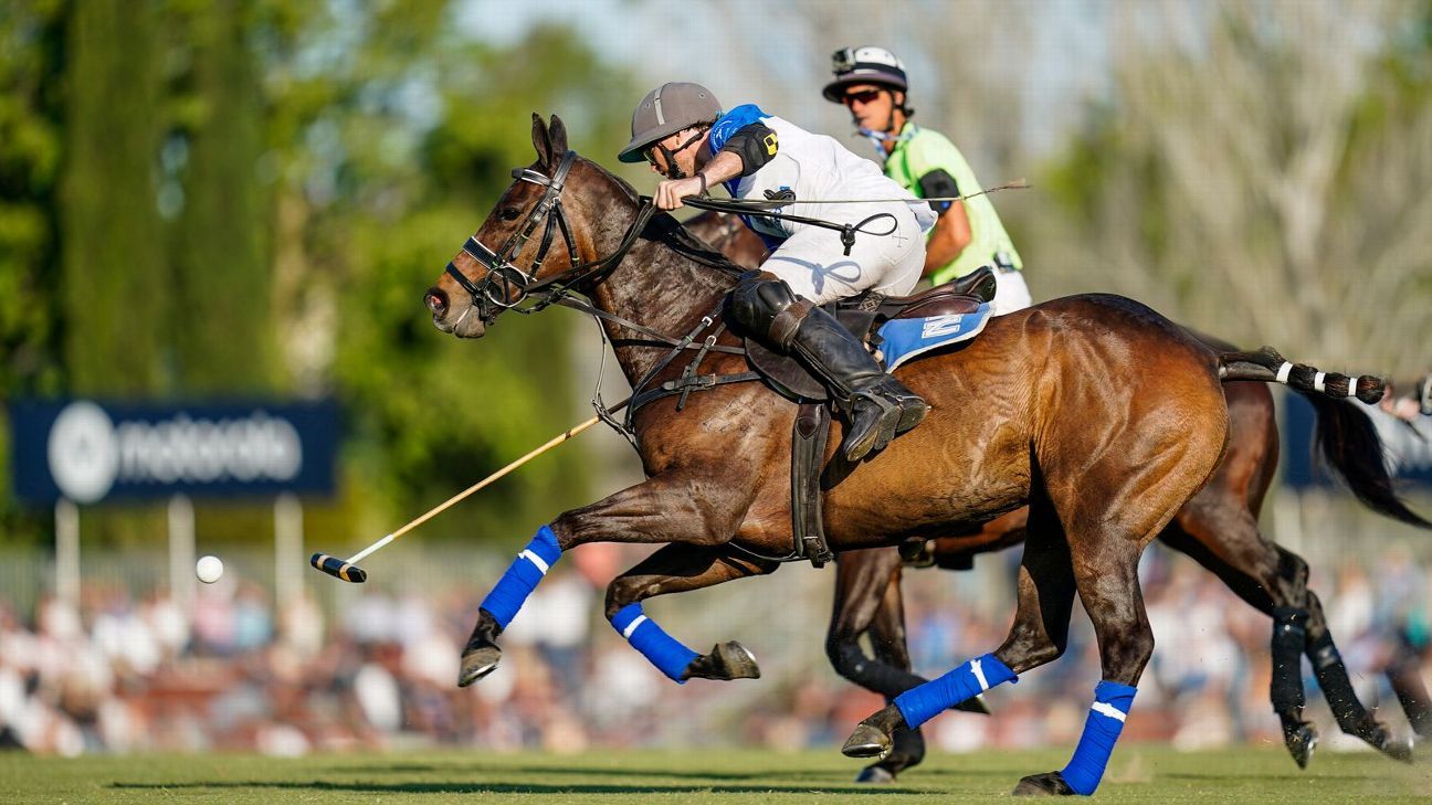 ELLERSTINA 12 - 8 LA ENSENADA