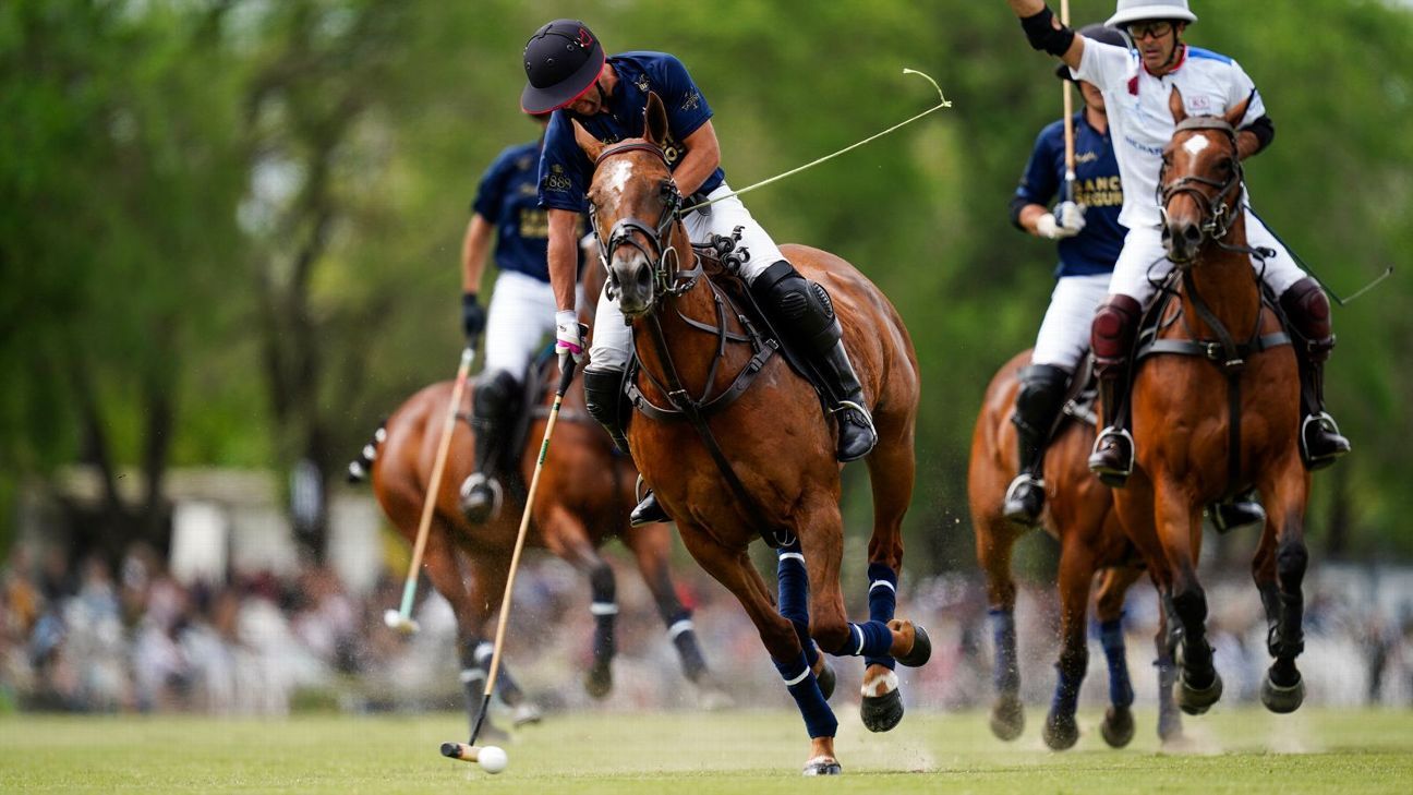 LA DOLFINA 11 - 10 RS MURUS SANCTUS