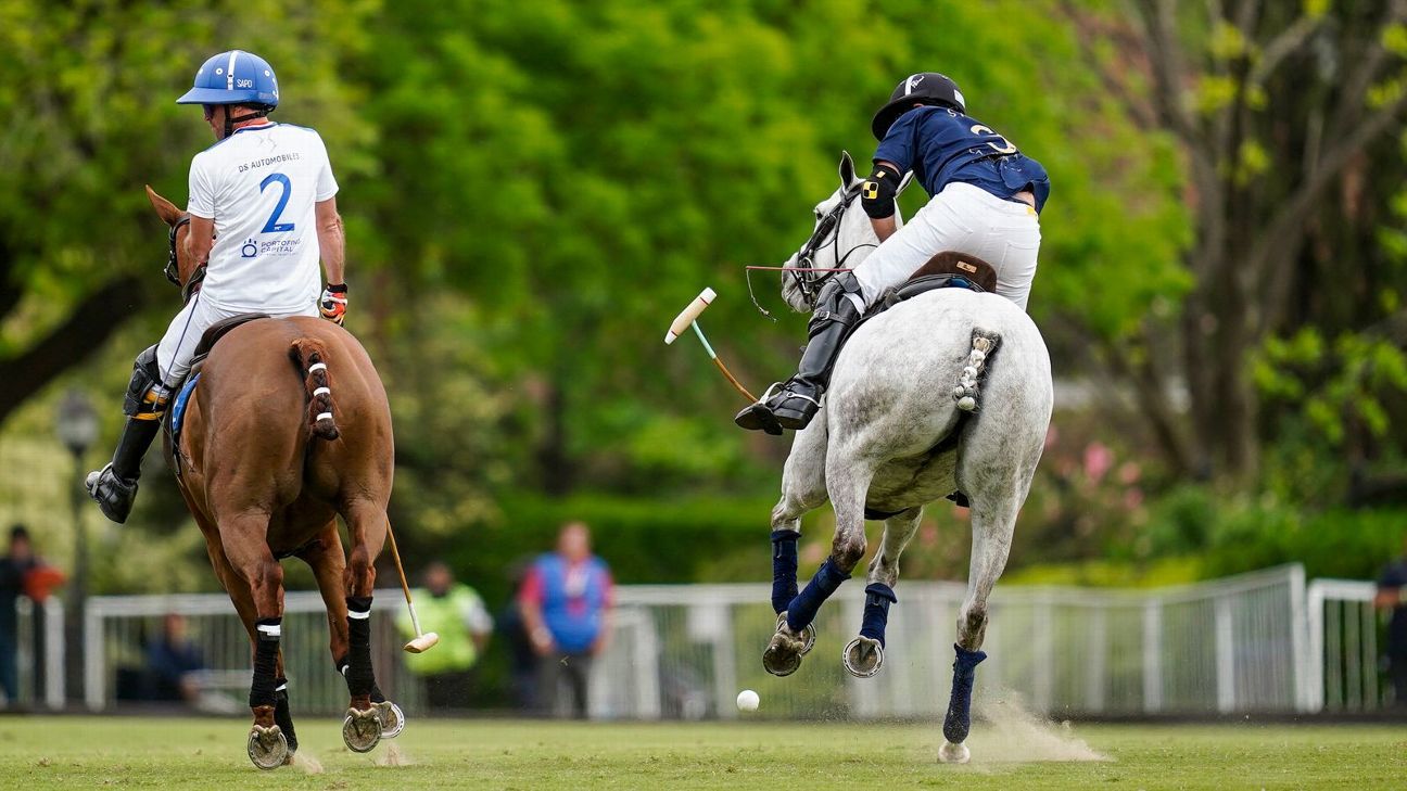 LA DOLFINA 11 - 10 RS MURUS SANCTUS