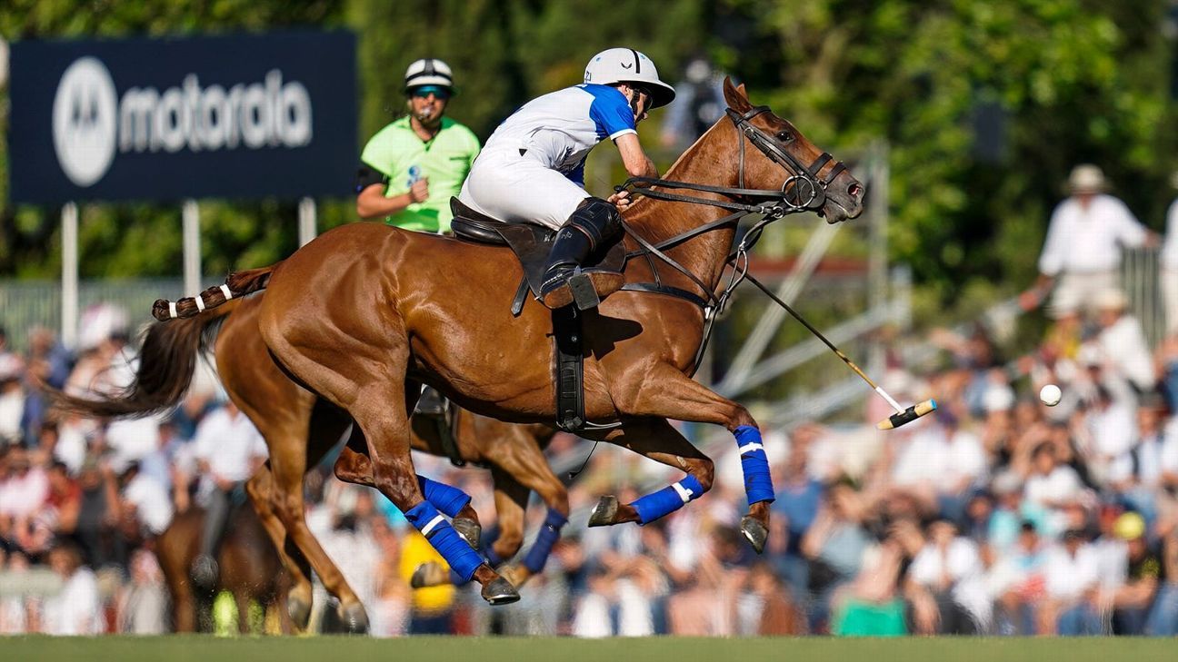 ELLERSTINA 11 - 9 LA DOLFINA