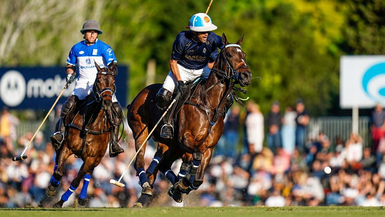 ELLERSTINA 11 - 9 LA DOLFINA