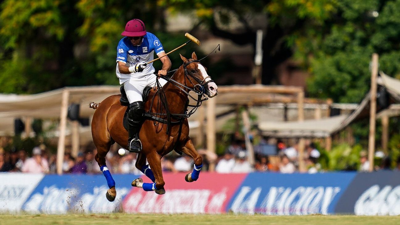LA DOLFINA 16 - 14 ELLERSTINA