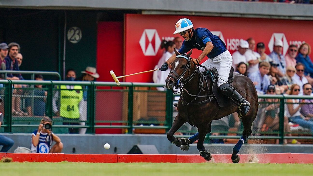 LA DOLFINA 16 - 14 ELLERSTINA