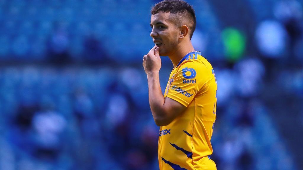 El colombiano Meza deja Tigres, que duda sobre la continuidad de Leo Fernández