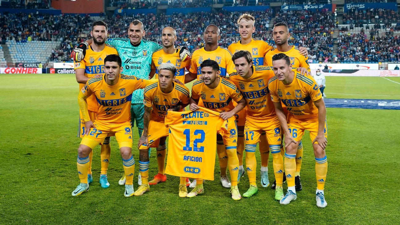 Tigres: Miguel Herrera y su 