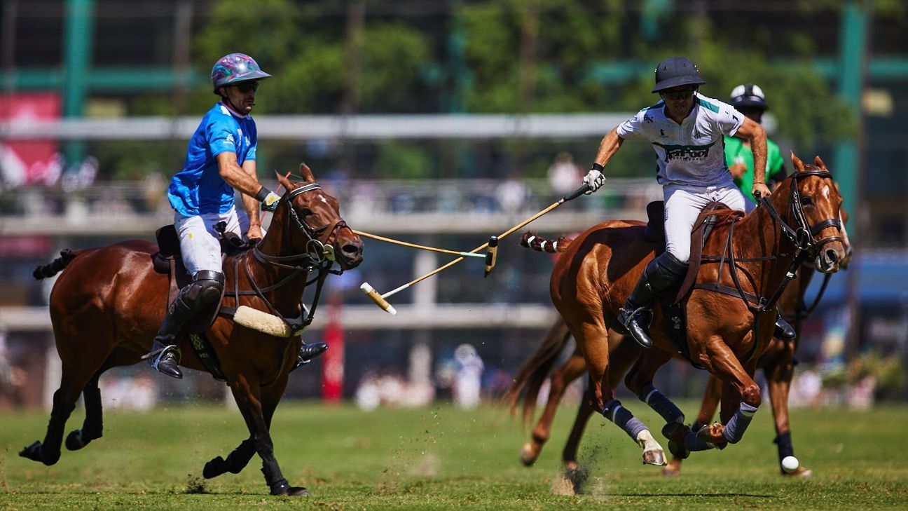 LA ENSENADA RS MURUS SANCTUS 19 v 12 LA HACHE