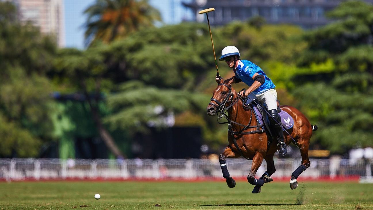 LA ENSENADA RS MURUS SANCTUS 19 v 12 LA HACHE