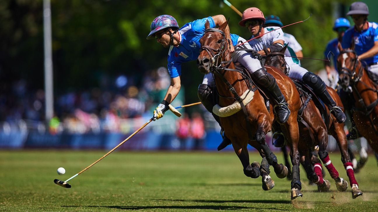 LA ENSENADA RS MURUS SANCTUS 19 v 12 LA HACHE