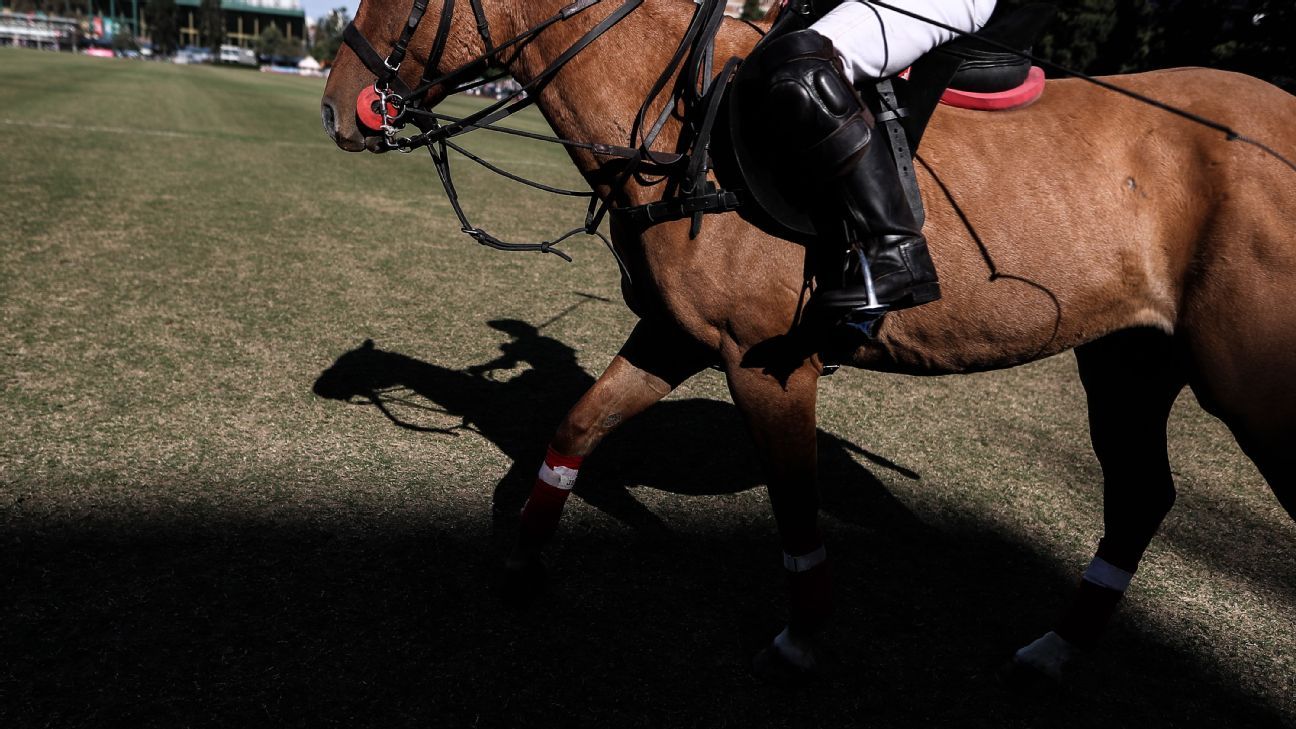 East Coast Open: Barton clashes with IGEA live on ESPNPolo.com - ESPN