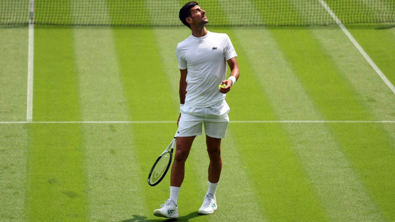 ¿Quién es el único jugador de Wimbledon 2023 que le ganó a Djokovic en césped? - ESPN