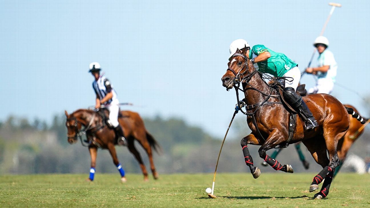 LA NATIVIDAD 22 v 11 LA HACHE C&P