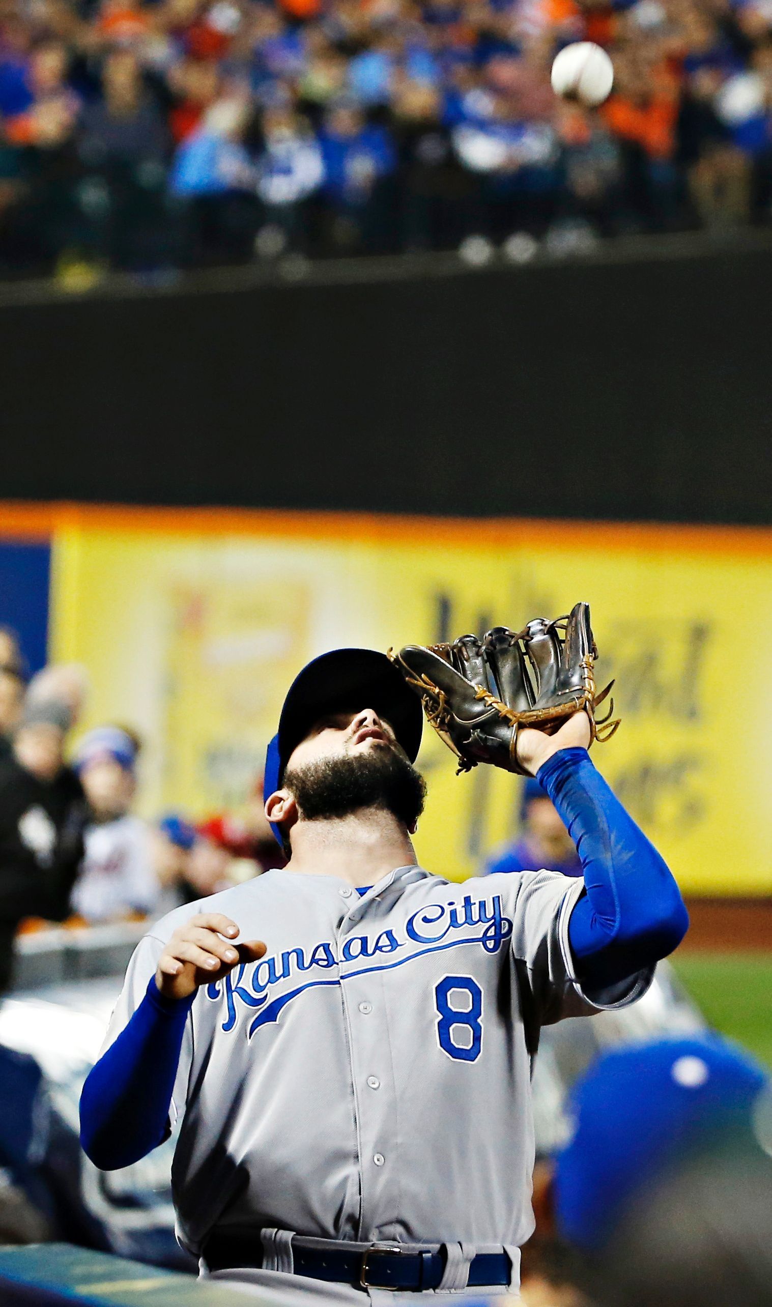 Manos de alce bien seguras