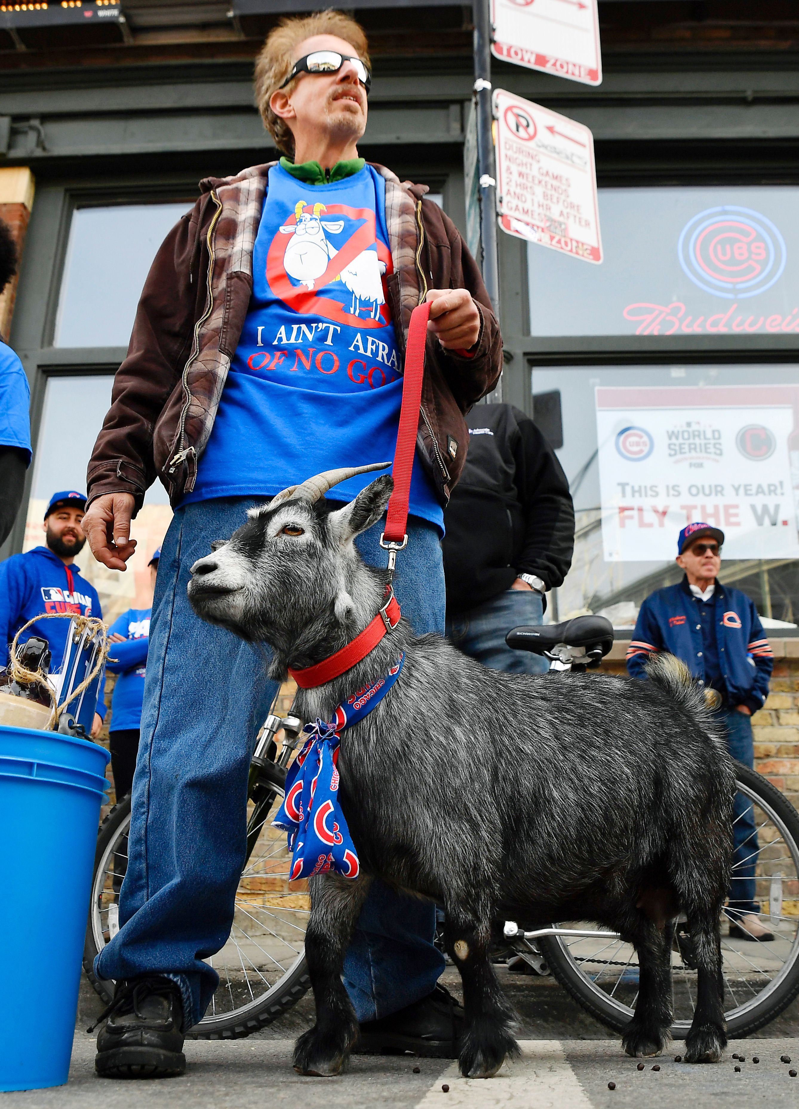 Sin miedo a las cabras