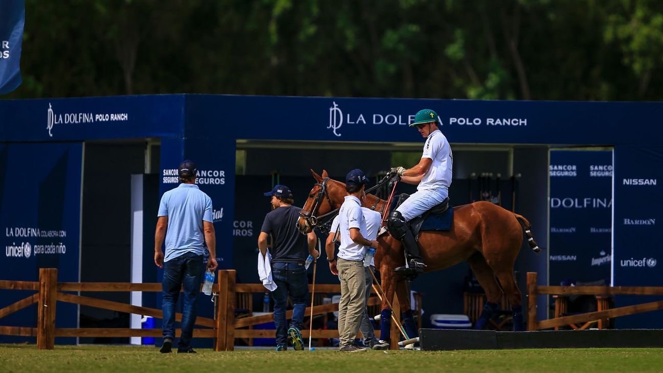 LA DOLFINA POLO RANCH 14  LA ESQUINA 6