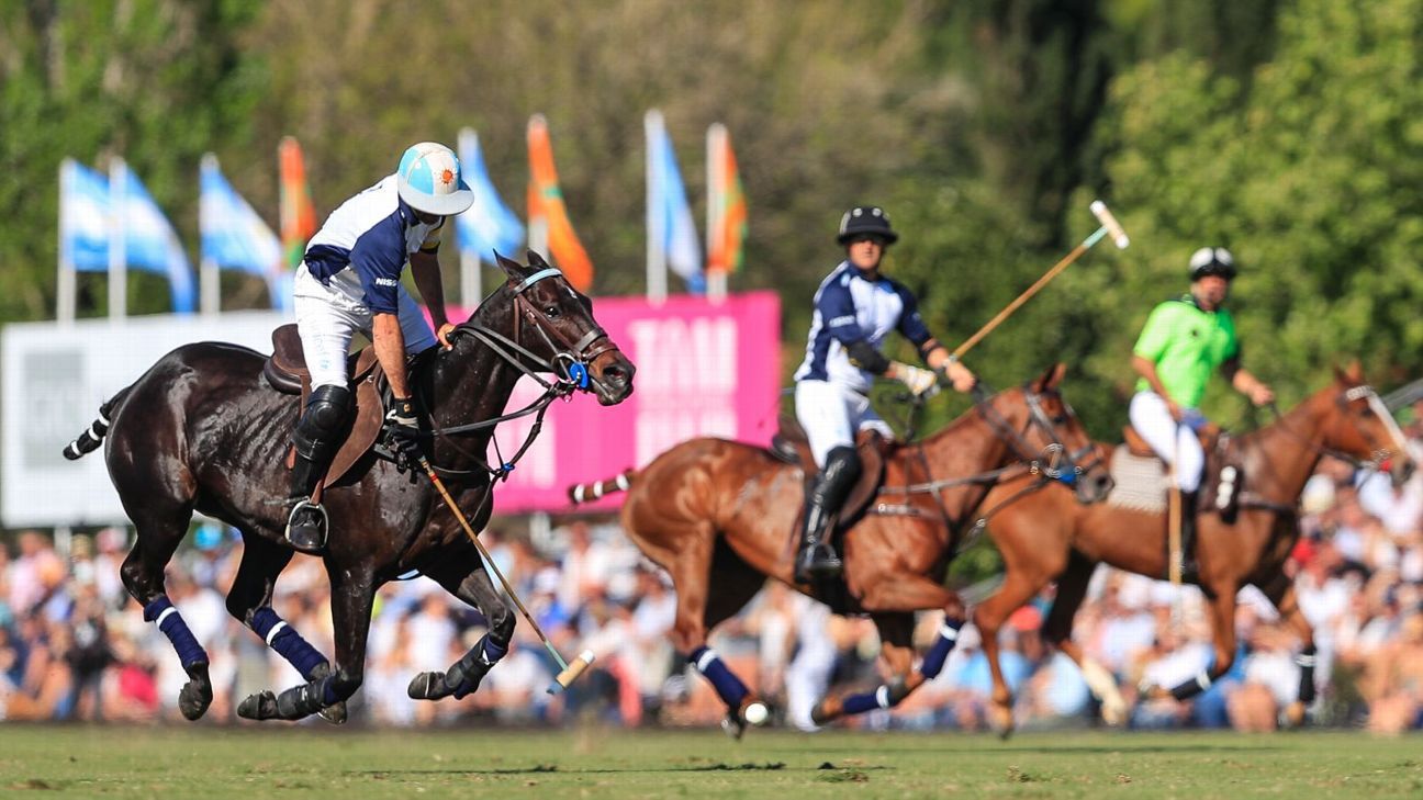 LA DOLFINA 11  ELLERSTINA 9