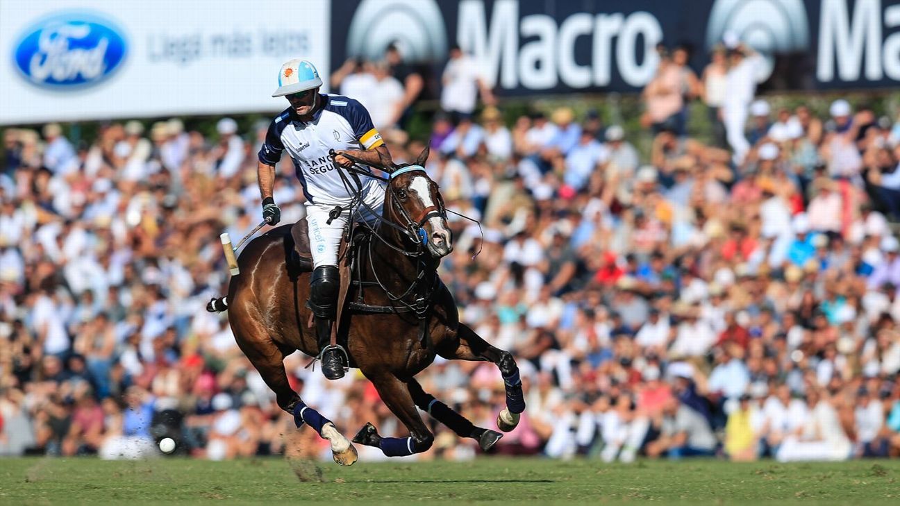 LA DOLFINA 11  ELLERSTINA 9